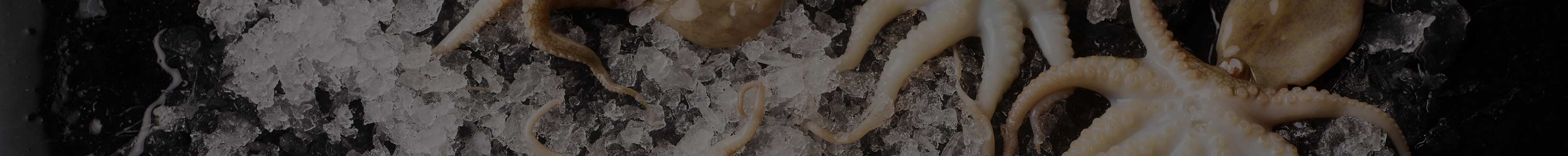 Octopus, Squid, & Sepia