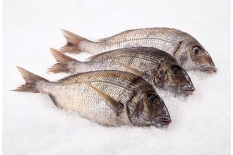 Porgies Whole