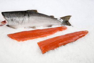 Coho Salmon Fillet