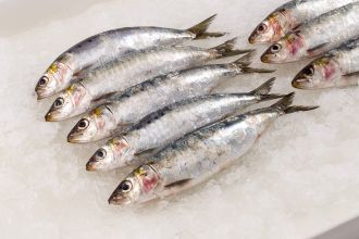 Imported Sardines