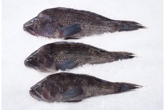 Black Sea Bass Whole