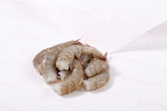 Large Shrimp