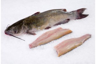 Catfish Fillet