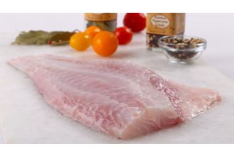 Red Snapper Fillet