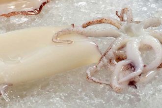 Cleaned Calamari Whole