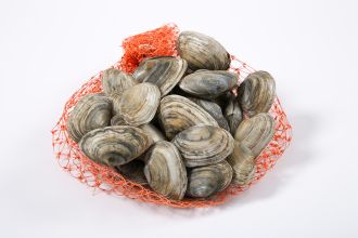 Steamers