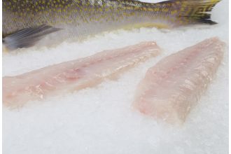 Tilefish Fillet