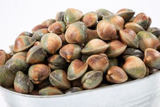 New Zealand Cockles