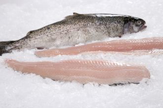 Rainbow Trout Fillet