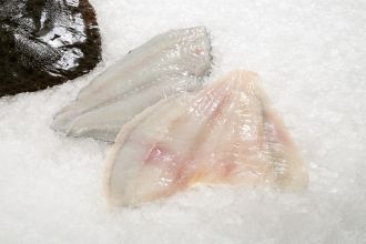 Turbot Whole