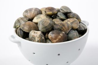 Manila Clams