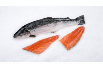 Organic Salmon Fillet