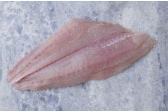 Fluke Fillet