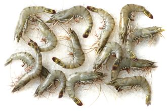 Madagascar Organic Shrimp