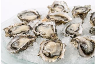 Kumamoto Oysters