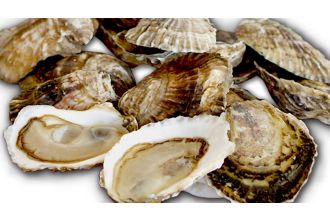 Fishers Island Oysters