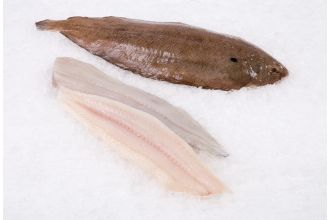 Dover Sole Whole