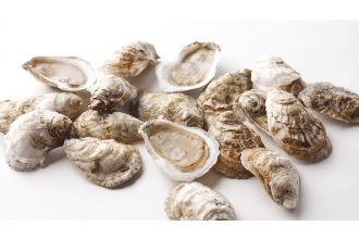 Peconic Oysters