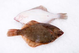 Flounder Whole