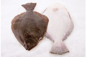 Fluke Whole