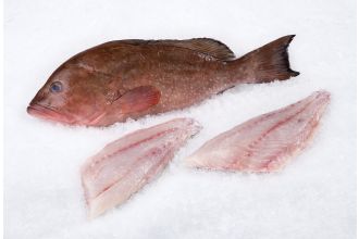 Grouper Fillet