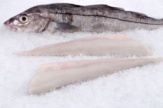 Haddock Fillet