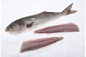 Bluefish Fillet