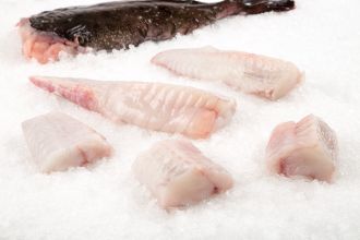 Monk Fish Fillet