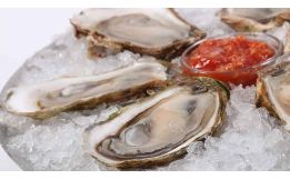 Lucky Lime Oysters 