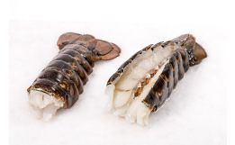 Cold Water Lobster Tail