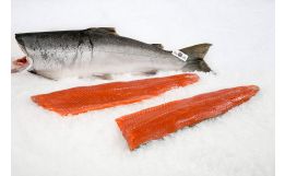 Coho Salmon Fillet