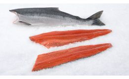 Sockeye Salmon Fillet