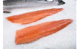 Norwegian Salmon Fillet
