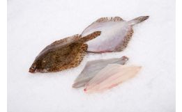 Sand Dab Fillet