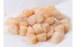 Cape Cod Bay Scallops