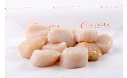 Sea Scallops