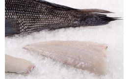Black Sea Bass Fillet