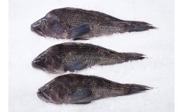 Black Sea Bass Whole