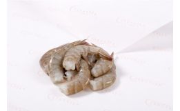 Large Shrimp