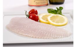 Skate Fillet