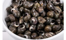 Periwinkles
