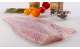 Red Snapper Fillet