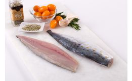 Spanish Mackerel Fillet