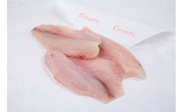 Tilapia Fillet