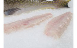 Tilefish Fillet