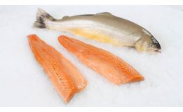Arctic Char Fillet