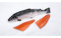 Organic Salmon Fillet