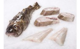 Cod Fillet