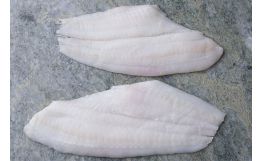 Plaice Fillet