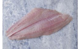 Fluke Fillet